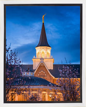 Load image into Gallery viewer, Provo City Center Blue and Gold
