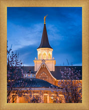 Load image into Gallery viewer, Provo City Center Blue and Gold
