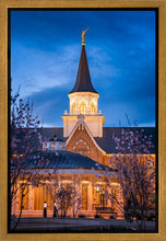 Load image into Gallery viewer, Provo City Center Blue and Gold
