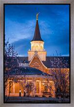 Load image into Gallery viewer, Provo City Center Blue and Gold
