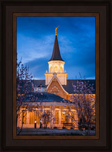 Load image into Gallery viewer, Provo City Center Blue and Gold
