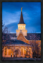 Load image into Gallery viewer, Provo City Center Blue and Gold
