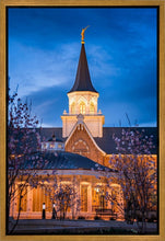 Load image into Gallery viewer, Provo City Center Blue and Gold
