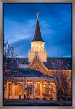 Load image into Gallery viewer, Provo City Center Blue and Gold

