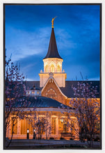 Load image into Gallery viewer, Provo City Center Blue and Gold
