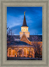 Load image into Gallery viewer, Provo City Center Blue and Gold
