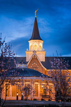 Load image into Gallery viewer, Provo City Center Blue and Gold
