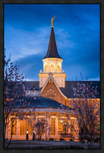 Load image into Gallery viewer, Provo City Center Blue and Gold
