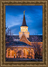 Load image into Gallery viewer, Provo City Center Blue and Gold

