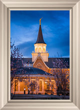 Load image into Gallery viewer, Provo City Center Blue and Gold
