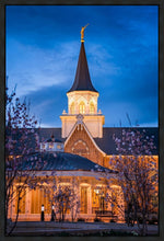 Load image into Gallery viewer, Provo City Center Blue and Gold
