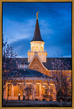 Load image into Gallery viewer, Provo City Center Blue and Gold
