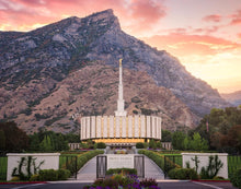 Load image into Gallery viewer, Provo Morning Front
