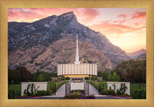 Load image into Gallery viewer, Provo Morning Front
