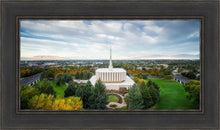 Load image into Gallery viewer, Provo Day Aerial
