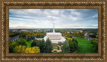 Load image into Gallery viewer, Provo Day Aerial
