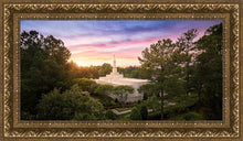 Load image into Gallery viewer, Raleigh Sunset From On High
