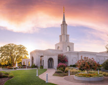 Load image into Gallery viewer, Sacramento Sunset
