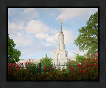 Load image into Gallery viewer, Sacramento Flowers
