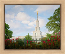 Load image into Gallery viewer, Sacramento Flowers
