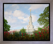 Load image into Gallery viewer, Sacramento Flowers
