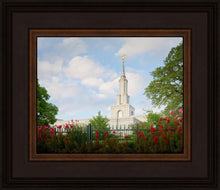 Load image into Gallery viewer, Sacramento Flowers

