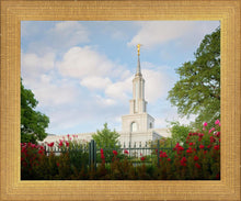 Load image into Gallery viewer, Sacramento Flowers
