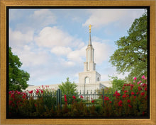 Load image into Gallery viewer, Sacramento Flowers

