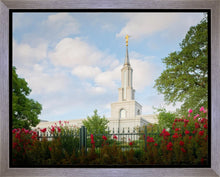 Load image into Gallery viewer, Sacramento Flowers
