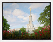 Load image into Gallery viewer, Sacramento Flowers
