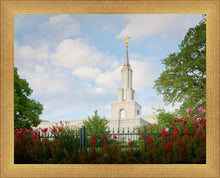 Load image into Gallery viewer, Sacramento Flowers
