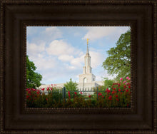 Load image into Gallery viewer, Sacramento Flowers
