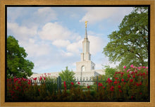 Load image into Gallery viewer, Sacramento Flowers
