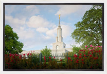 Load image into Gallery viewer, Sacramento Flowers
