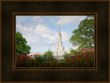 Load image into Gallery viewer, Sacramento Flowers
