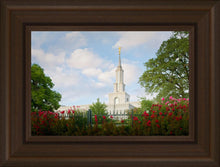 Load image into Gallery viewer, Sacramento Flowers
