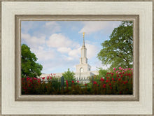 Load image into Gallery viewer, Sacramento Flowers
