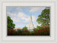 Load image into Gallery viewer, Sacramento Flowers
