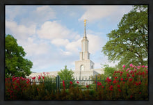 Load image into Gallery viewer, Sacramento Flowers
