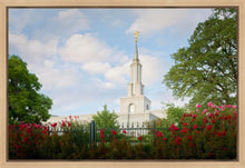 Load image into Gallery viewer, Sacramento Flowers
