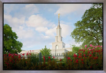 Load image into Gallery viewer, Sacramento Flowers

