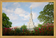 Load image into Gallery viewer, Sacramento Flowers
