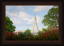 Load image into Gallery viewer, Sacramento Flowers
