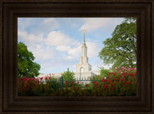 Load image into Gallery viewer, Sacramento Flowers
