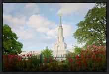 Load image into Gallery viewer, Sacramento Flowers
