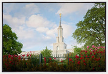Load image into Gallery viewer, Sacramento Flowers
