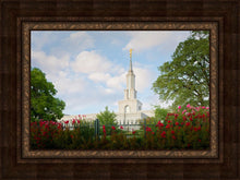 Load image into Gallery viewer, Sacramento Flowers
