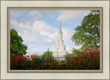Load image into Gallery viewer, Sacramento Flowers
