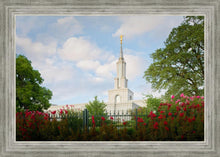 Load image into Gallery viewer, Sacramento Flowers
