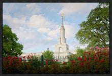 Load image into Gallery viewer, Sacramento Flowers
